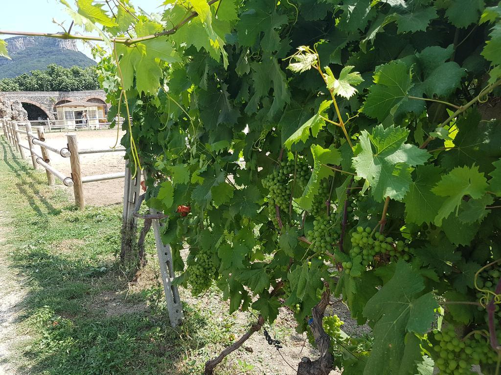 Il Villaggio Di Giuele Finale Ligure Zewnętrze zdjęcie